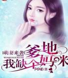 有萌宝的小说