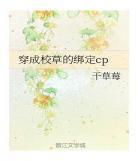 穿成校草的前男友全文阅读